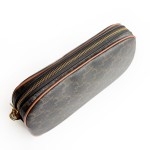 Celine Clutch with Chain in Triomphe Canvas and Lambskin / MULTI BAG in Triomphe Canvas and Calfskin